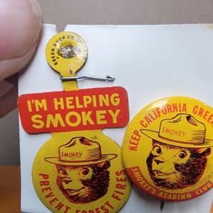 Vintage pinback buttons, Smokey the Bear pin, Smokey pinback, vintage pin, vintage pinback button, vintage causes,  free shipping