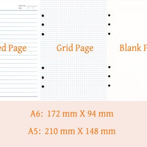 May include: A planner insert with three page styles: lined, grid, and blank. The lined page has horizontal lines, the grid page has a square pattern, and the blank page is plain. Sizes A6 (172 mm x 94 mm) and A5 (210 mm x 148 mm) are shown.