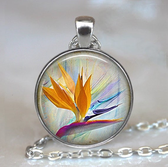 Sterling Silver Hawaiian Bird of Paradise Rainbow Opal Pendant P1229 With  Optional Rhodium Box Chain - Etsy