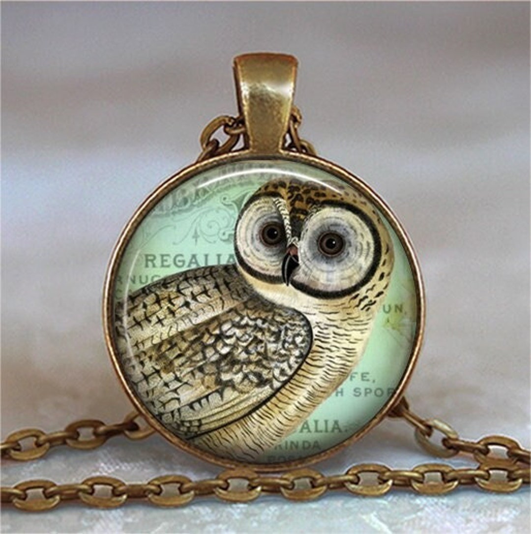 Vintage Owl Necklace Brooch or Key Chain Barred Owl Gift Night Owl Gift Owl Jewelry Owl Keychain Keyring Key Fob Etsy