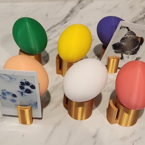 Easter Egg Note Card Photo Display:  Christmas, Chanukah, Valentine's &  Halloween - 8 Pack light bulb