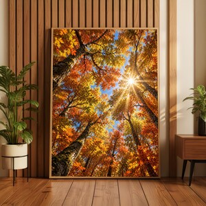 Puede incluir: Un cuadro rectangular que muestra una vista en contrapicado de la copa de un bosque en otoño. La imagen presenta altos troncos de árboles que se elevan hacia un cielo azul brillante, con hojas naranjas, amarillas y rojas bajo el sol.