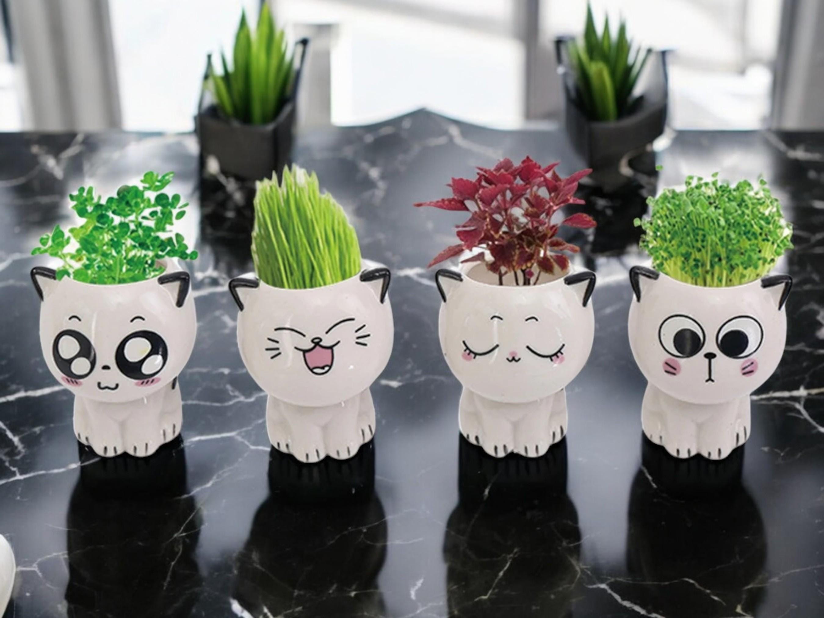 POT DE FLEUR,Random Color--Mini Pot De Fleurs En Céramique, 1 Pièce