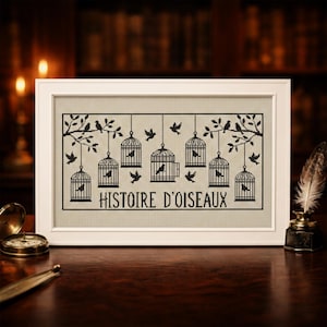 May include: A framed cross-stitch artwork featuring a black and white design of birds, birdcages, and branches. The French text "HISTOIRE D'OISEAUX" is stitched below the design. The artwork is displayed on a dark wooden surface.