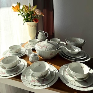 Porcelain Dinnerware Set Bernardaud Limoges Amandine Vintage Table Setting France A017