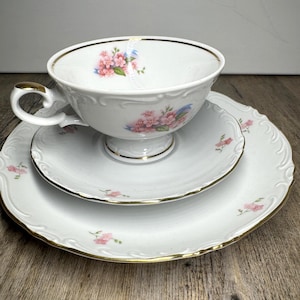 Sammeltassen Sammeltassen Vohenstrauss Johann Seltmann Bavaria Sammeltassen Demitasse Tassen