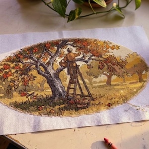 May include: A rectangular piece of white Aida fabric featuring an oval-shaped cross-stitch embroidery of an orchard scene. The design depicts a person on a wooden ladder harvesting fruit from a large tree, surrounded by other trees and fallen fruit.