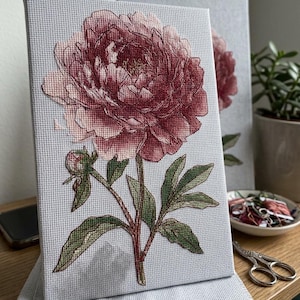 May include: A cross-stitch embroidery on light gray Aida fabric featuring a large, detailed peony flower in shades of deep pink, mauve, and light rose. The design includes a green stem with leaves and a small closed bud, all mounted on a canvas frame.