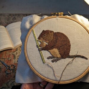 May include: A circular wooden embroidery hoop containing a piece of white Aida fabric with a cross-stitch design of a brown beaver holding a green stick. The beaver has a light tan belly and dark brown fur, depicted in a side profile view.