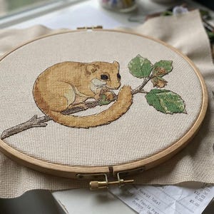 May include: A circular wooden embroidery hoop containing a piece of beige fabric with a cross-stitched design of a light brown dormouse perched on a tree branch with green leaves and a small nut, accompanied by a pair of silver metal embroidery scissors.