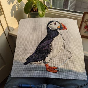 以下が含まれることがあります： 黒、白、オレンジの羽毛を持つツノメドリが描かれたニードルポイント用キャンバス。鳥は横向きで、鮮やかなオレンジ色の水かきのある足で立ち、多色のくちばしをしています。デザインは白いグリッド上にプリントされています。