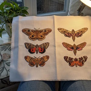 May include: A white fabric piece featuring six embroidered moth designs arranged in two columns. The moths display various patterns and colors including shades of brown, tan, orange, pink, and black. The embroidery is detailed with intricate stitching.