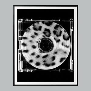 May include: Black and white framed art print featuring a CD with a leopard print design. The CD is in a clear plastic case, set against a black background. The artwork is a modern, abstract piece.