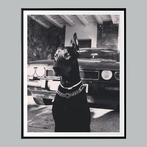 Luxury Doberman Wall Art, Luxury Fashion Poster, Black and White, Hypebeast Room Decor, Dog Wall Art, Fashion Printed Trending Home Decor