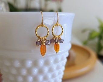 Genuine Carnelian and Iolite Earrings on 14K Gold Filled Ear Wires