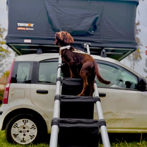 Scaletta universale per tenda da tetto, disponibile negli Stati Uniti e nel Regno Unito - Adatta ai cani e ideale per persone con sensibilità particolari - Piastre in acrilico imbottite - Per vivere avventure indimenticabili