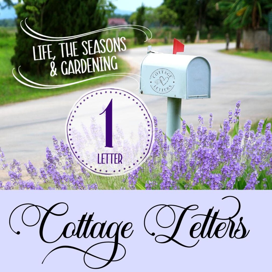 Cottage Letters Mail Club | 1 Letter & Art Prints by Janice Macleod ...