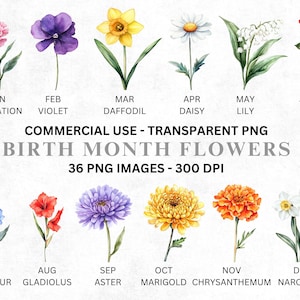 36 aquarel geboortemaand bloemen clipart, verjaardag clipart, maand bloemen illustratie, dagboek png, commercieel gebruik. Direct downloaden