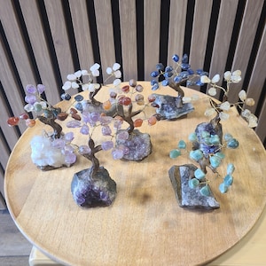 Peut inclure: Plusieurs arbres de pierres précieuses avec des branches en fil de fer et des feuilles en pierres colorées. Chaque arbre est monté sur une base en pierre brute. Les arbres présentent diverses couleurs, dont le violet, le bleu, le vert et le clair.