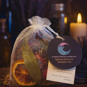 Herbal Simmer Pot Kit • Spring Equinox Renewal • Natural Witchy Home Fragrance