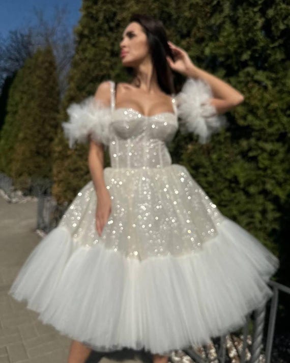 Puffy Short Wedding Dress, Tutu Evening Dress, Bustier Corset