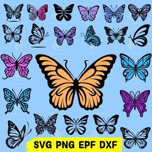 Butterfly Bundle, Butterfly Digital Clipart Bundle SVG, PNG, EPS, DxF  Files