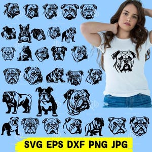 Bulldog SVG Bundle | Unique Bulldog Designs for T-Shirts, Stickers, and Crafts | Dog svg Bundle , Dog png Bundle,