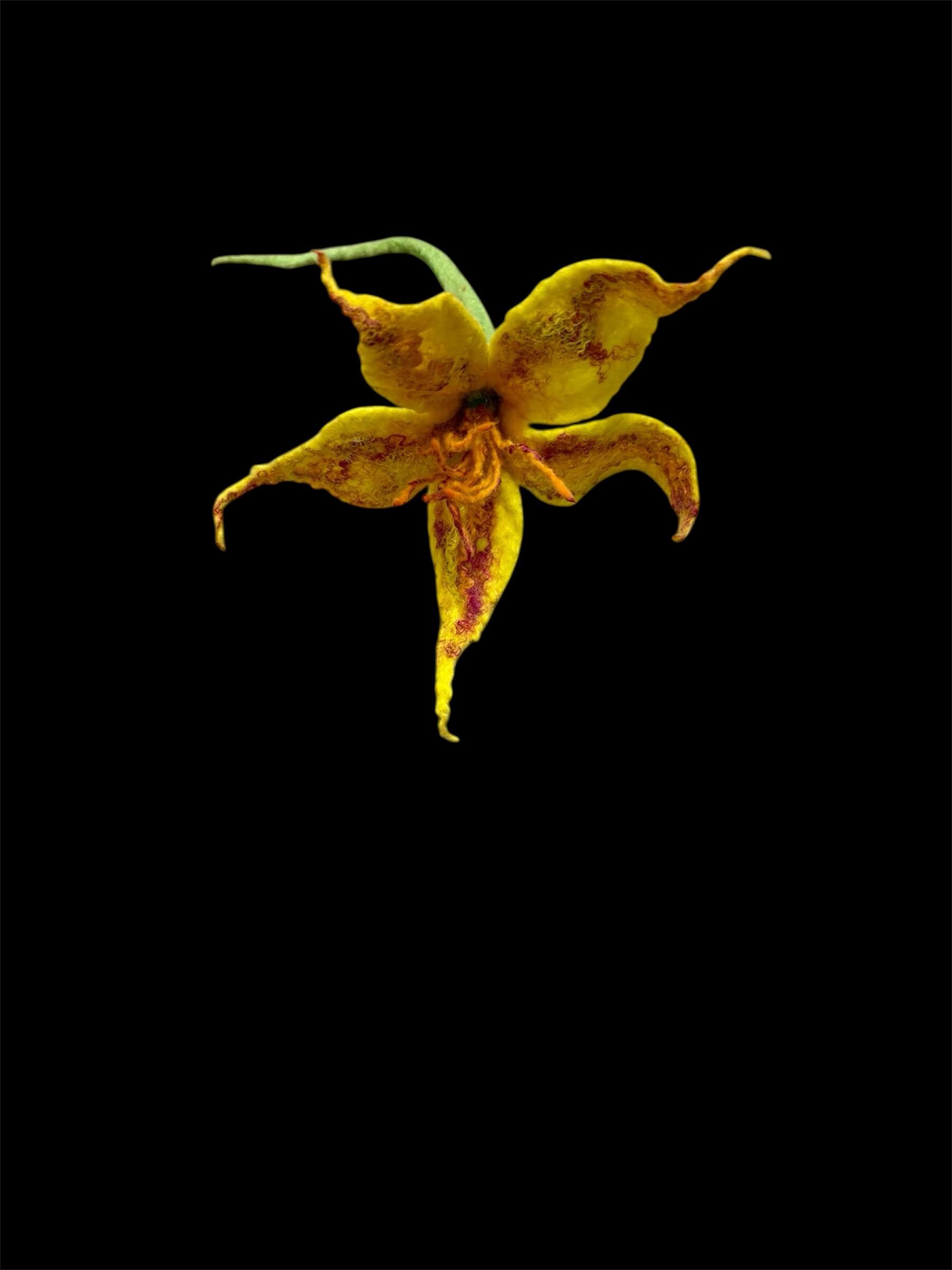 Felted, Handmade, Sculptural Fiber Creation, decoration, One of a Kind Art, Wet Felted Merino Wool, Silk Fibers and Threads, Home Decor - Thumbnail 5