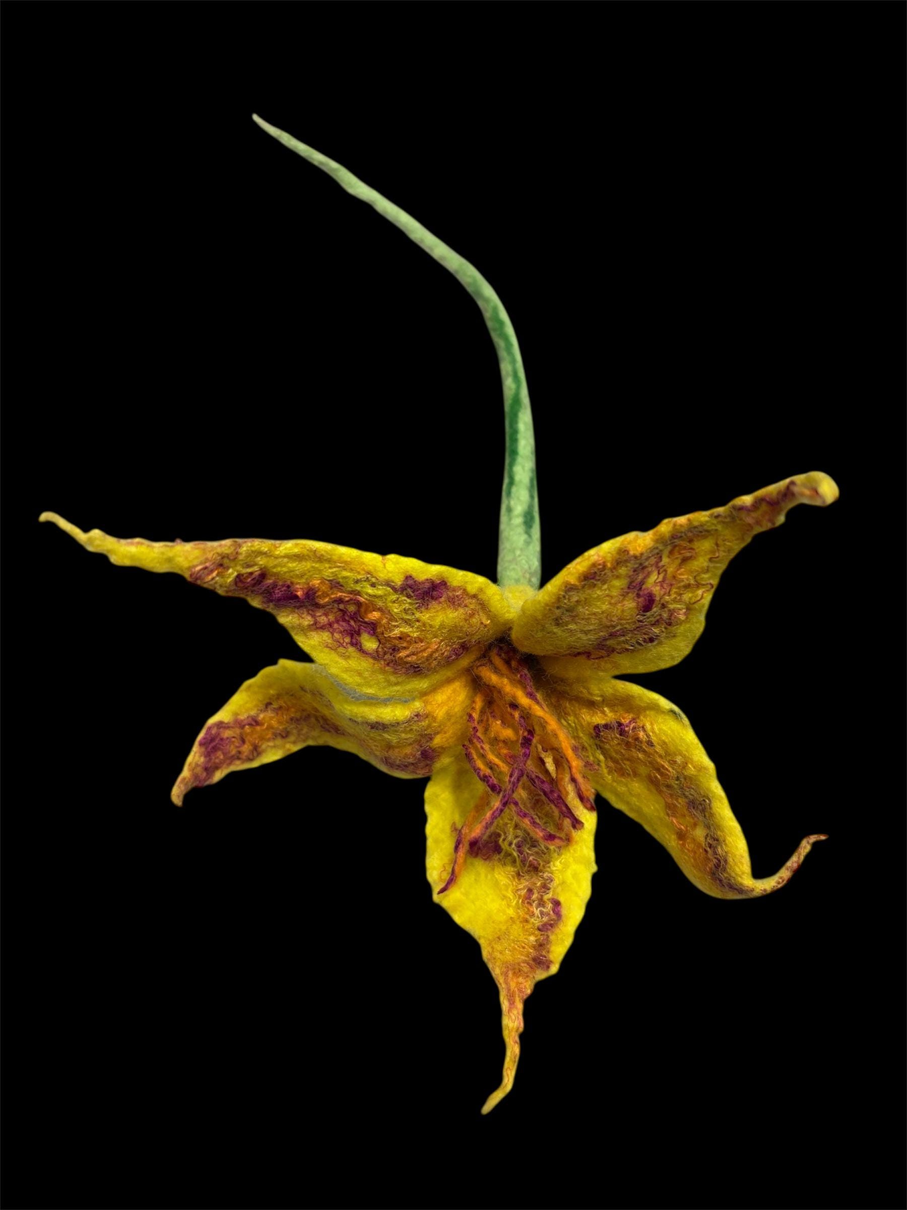 Felted, Handmade, Sculptural Fiber Creation, decoration, One of a Kind Art, Wet Felted Merino Wool, Silk Fibers and Threads, Home Decor