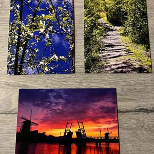 5er-Pack Fotokarten | Naturpostkarten