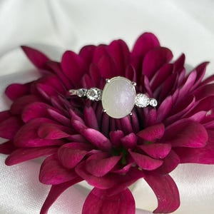 Cremation Ring with Ashes Memorial Keepsake Jewelry Custom Remembrance Ring  Loss of Loved One Personalized Gift Pet Ashes Pet Jewelry