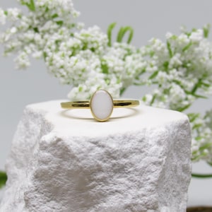 Cremation Ring with Ashes Memorial Keepsake Jewelry Custom Remembrance Ring  Loss of Loved One Personalized Gift Pet Ashes Pet Jewelry