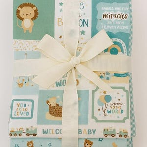 Baby Panel Quilt Kit It’s a Boy Riley Blake Designs by Lori Whitlock 35 ...