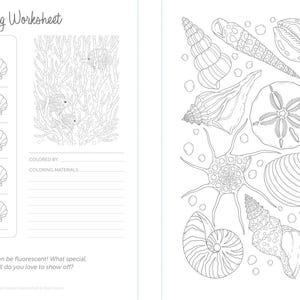 May include: A black and white coloring page featuring a variety of seashells, including a sand dollar, a nautilus shell, and a starfish. The page also includes a section for color swatches and a space for the artist to write their name and the materials they used.