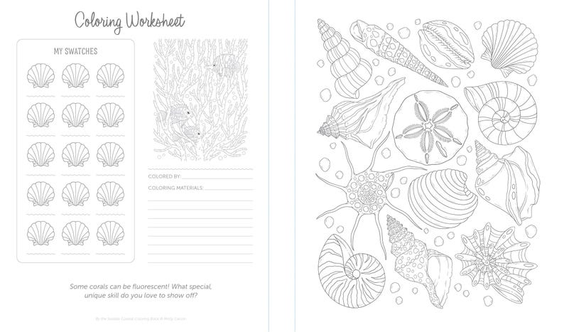 May include: A black and white coloring page featuring a variety of seashells, including a sand dollar, a nautilus shell, and a starfish. The page also includes a section for color swatches and a space for the artist to write their name and the materials they used.