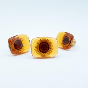 May include: Three amber glass cabinet knobs with a sunflower design. The knobs are rectangular and have a gold metal screw.