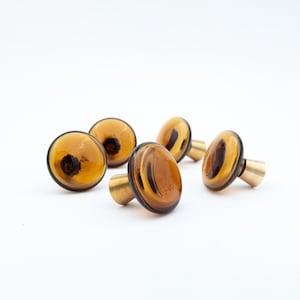 May include: Five amber glass cabinet knobs with brass stems are arranged on a white surface. The knobs have a rounded, oval shape with a dark center. The brass stems provide a contrasting metallic accent.