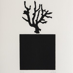 Metamorfoza korali / Czarny kwadrat wyobraźni