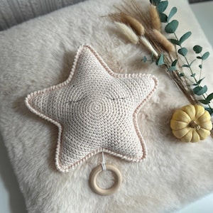 Pode incluir: Uma almofada de crochê em forma de estrela creme com olhos fechados e um anel de madeira preso. A almofada está sobre uma superfície fofa e clara, com plantas secas e uma pequena abóbora no fundo. A estrela tem uma borda rosa.