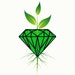 Propietario de <a href='https://www.etsy.com/mx/shop/CanopyGems?ref=l2-about-shopname&from_page=listing' class='wt-text-link'>CanopyGems</a>