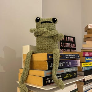 Griesgrämiger Häkelfrosch – Lustige handgefertigte Schreibtisch- und Regaldekoration