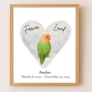Stampa commemorativa per inseparabile, regalo personalizzato per la perdita di un uccello, stampabile, ricordo di un pappagallo, arte per animali domestici, decorazione da parete, acquerello, ricordo