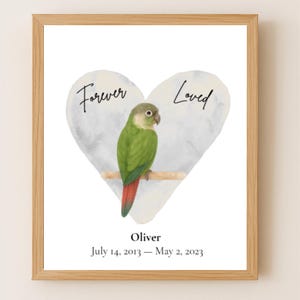 Stampa commemorativa personalizzata di Conuro guance verdi, regalo per la perdita di un uccello, stampabile, ricordo di un pappagallo, decorazione da parete ad acquerello.