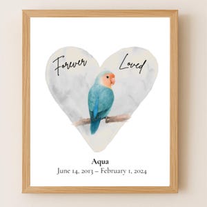 Stampa commemorativa personalizzata per la perdita del pappagallo, inseparabile dalla faccia di pesca blu, regalo di ricordo per animali domestici, condoglianze da parete