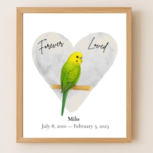 Stampa commemorativa per pappagallino verde, personalizzata, ricordo per la perdita di un uccello, stampabile, da parete, ricordo per la perdita di un animale domestico, regalo personalizzato per uccelli.