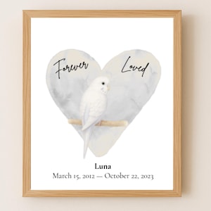 Stampa commemorativa personalizzata per la perdita di un pappagallino bianco, stampa artistica per ricordare la perdita di un animale domestico, decorazione murale stampabile.