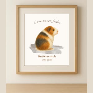 Porcellino d'India tricolore in memoria della perdita di un animale domestico, regalo personalizzato con nome, data e frase "L'amore non svanisce mai"