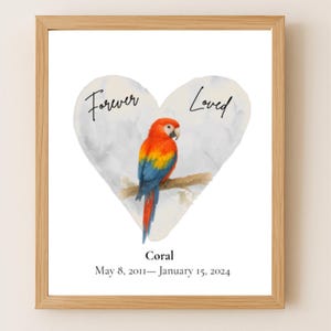 Stampa commemorativa personalizzata dell'ara scarlatta, regalo per la perdita di un uccello, stampa di condoglianze a un pappagallo, tributo all'ara, ricordo per la guarigione dalla perdita di un animale domestico.