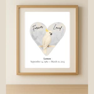 Stampa commemorativa del cacatua, regalo personalizzato per la perdita dell'uccello, stampabile, decorazione da parete con simpatia per il pappagallo, acquerello, ricordo di animali domestici.