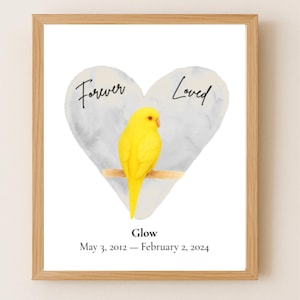 Stampa commemorativa personalizzata per parrocchetto giallo brillante, idea regalo per la perdita di un uccello domestico, decorazione da parete in omaggio al parrocchetto giallo.